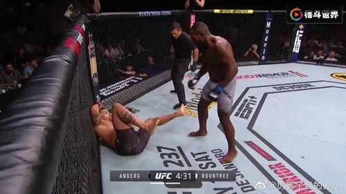 朝天新闻爆料最新消息,最新爆料揭示重大事件进展